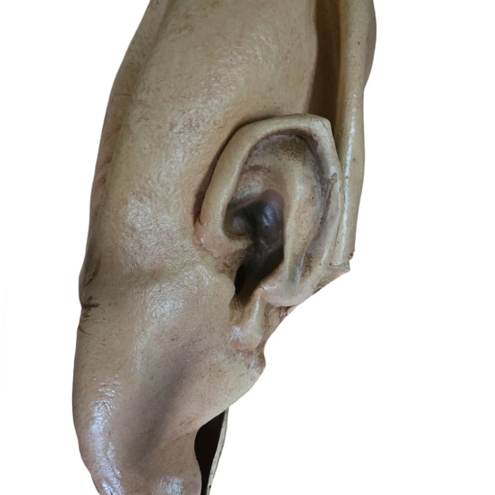 Realistic Lord of The Rings Halloween Mask (Gollum)